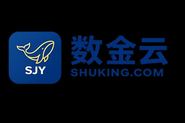 数金云